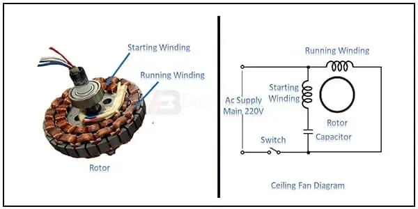 Diagram of Connect Capacitor with Ceiling Fan wiring